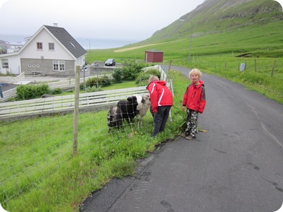 Dalur 088