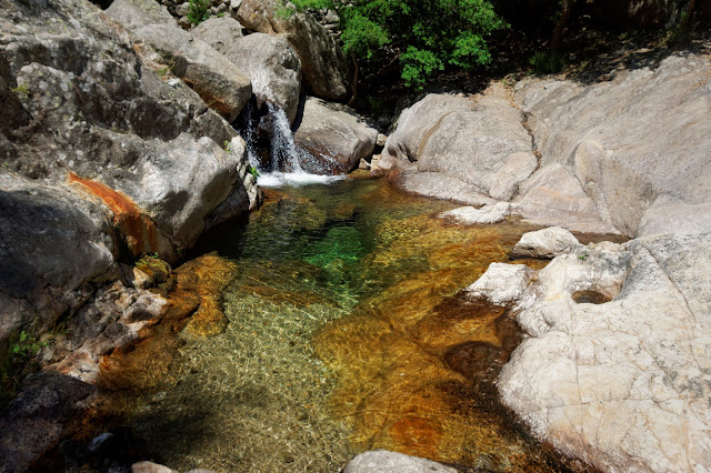 colombière sur orb piscine naturelle