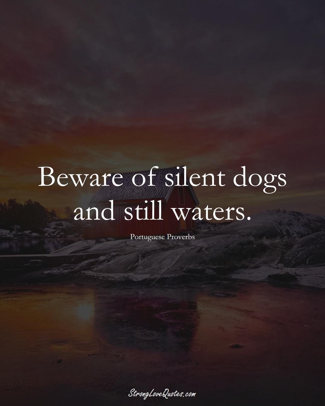 Beware of silent dogs and still waters. (Portuguese Sayings);  #EuropeanSayings