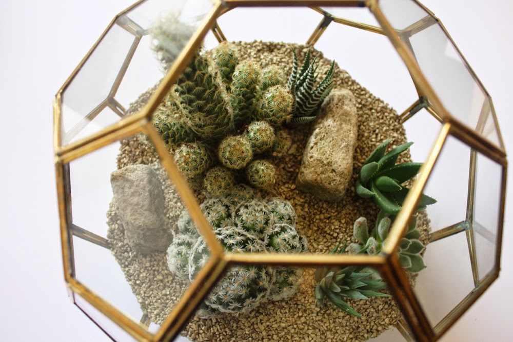 http://crownflorastudio.com/terrarium/