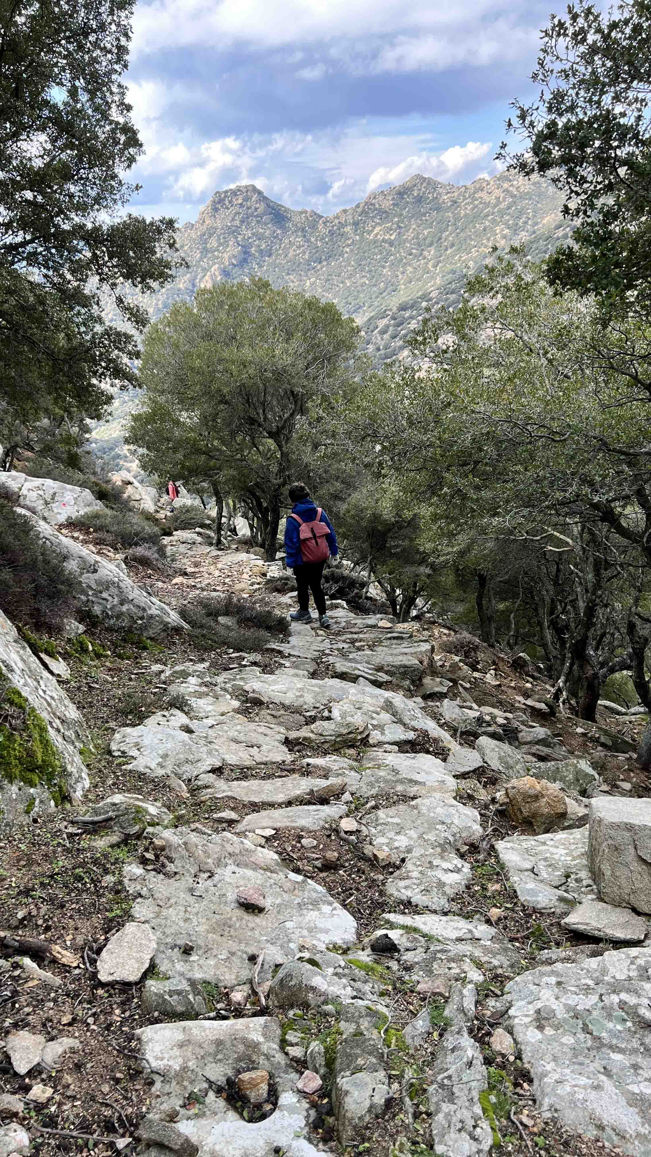 Πεζοπορία Άγιος Ισίδωρος - Καρκινάγρι: Στην παλιά λιθόστρωτη ρύμη για Καρκινάγρι