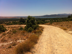 Ruta en bici por la Hoya de San Blas, julio 2012