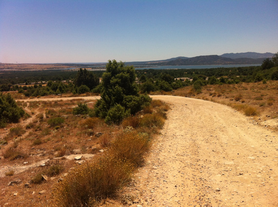 Ruta en bici por la Hoya de San Blas, julio 2012