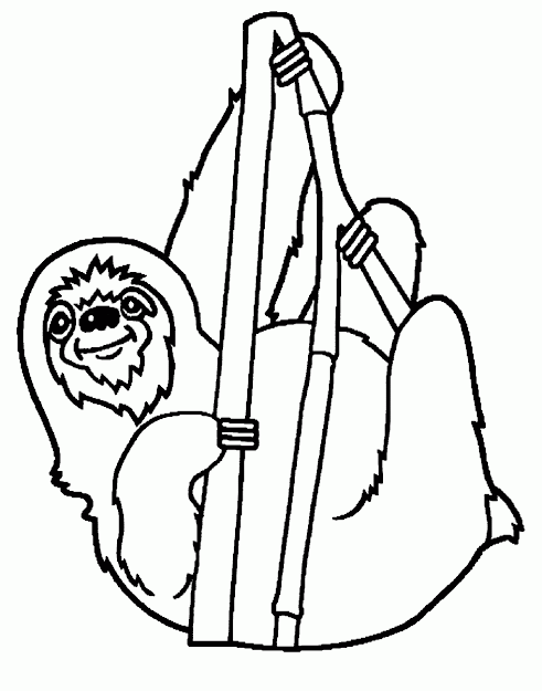 Rainforest Coloring Pages Amazon Rainforest Coloring Pages Wecoloringpage  For Kids