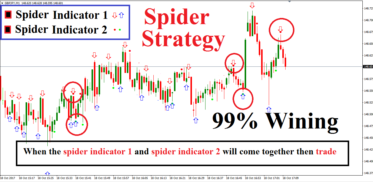 indicator binary option spider