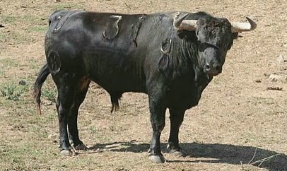 Ingrato de Parladé