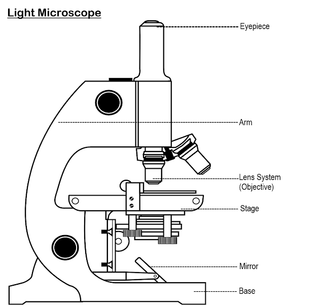 simple microscope diagram