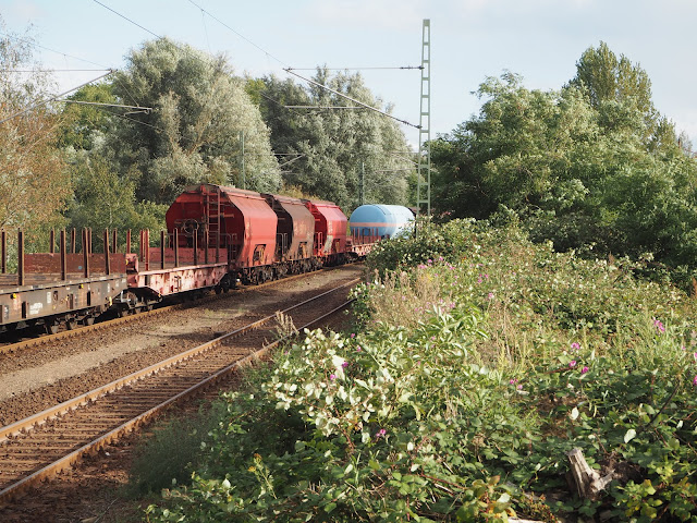 Zwischen hohen Büschen verschwindet der Güterzug mit einem hellblauen Kesselwaggon und den roten Schüttgutwaggons.