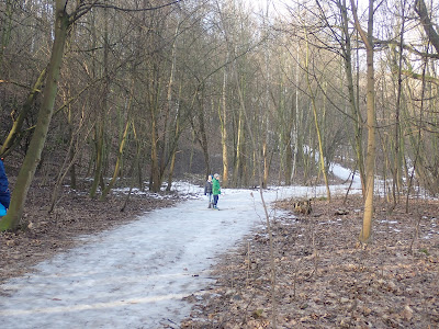 grzyby 2019, grzyby w zimie, grzyby w Lasku Wolskim, grzyby nadrzewnw, płomiennica zimowa, uszak bzowy, skórniki, trąbka zimowa, żagiew zimowa, kisielnica kędzirzawa, żylak promienisty, gmatwica chropowata, żagiew zimowa, trzęsak pomarańczowożółty, orzechówka mączysta, łycznik późny 