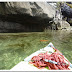Logbook: Walsh Cove Marine Park