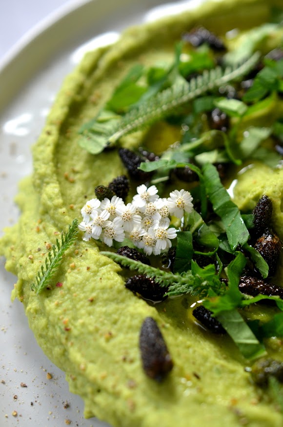 Bild von hellgrünem Hummus auf einem hellgrauen Teller angerichtet, garniert mit Spitzwegerichknospen und Wildkräutern.