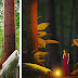 Large Forest Photoshop Manipulation And Digital Art