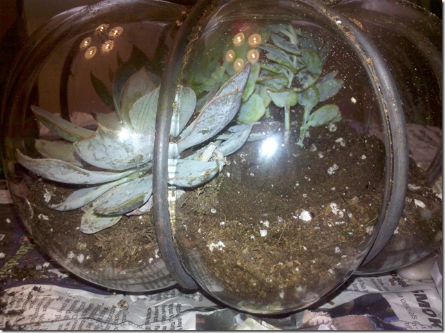 2011-05-13_18-15-12_680