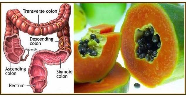 Alimentos para mantener nuestro cuerpo siempre sano