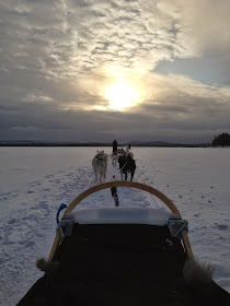 Husky Sled on Lake Inari, Finland