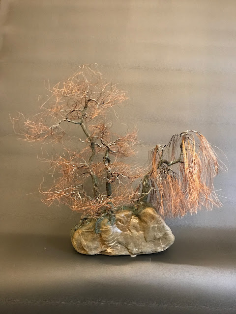 Bonsai, Bonsai tree, Bonsai you can't kill, Copper Wire, Natural Rock, Oxidized Copper, TAE Trees, Recycled materials, Touch Art Experience, Wabi Sabi,