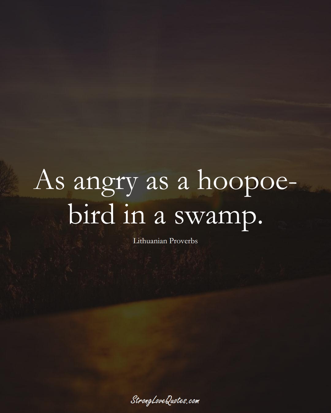 As angry as a hoopoe-bird in a swamp. (Lithuanian Sayings);  #AsianSayings