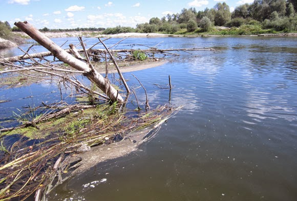 River slough