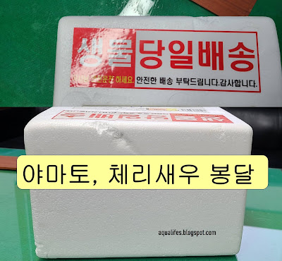 야마토새우, 체리새우 봉달, 입양 박스