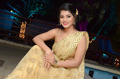 Yamini Bhaskar sizzling in saree-thumbnail-43