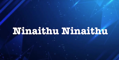 Ninaithu Ninaithu Parthen Song Lyrics