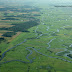 Balonem nad Biebrzą