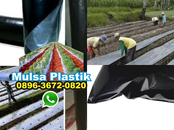 Plastik Mulsa Tangerang
