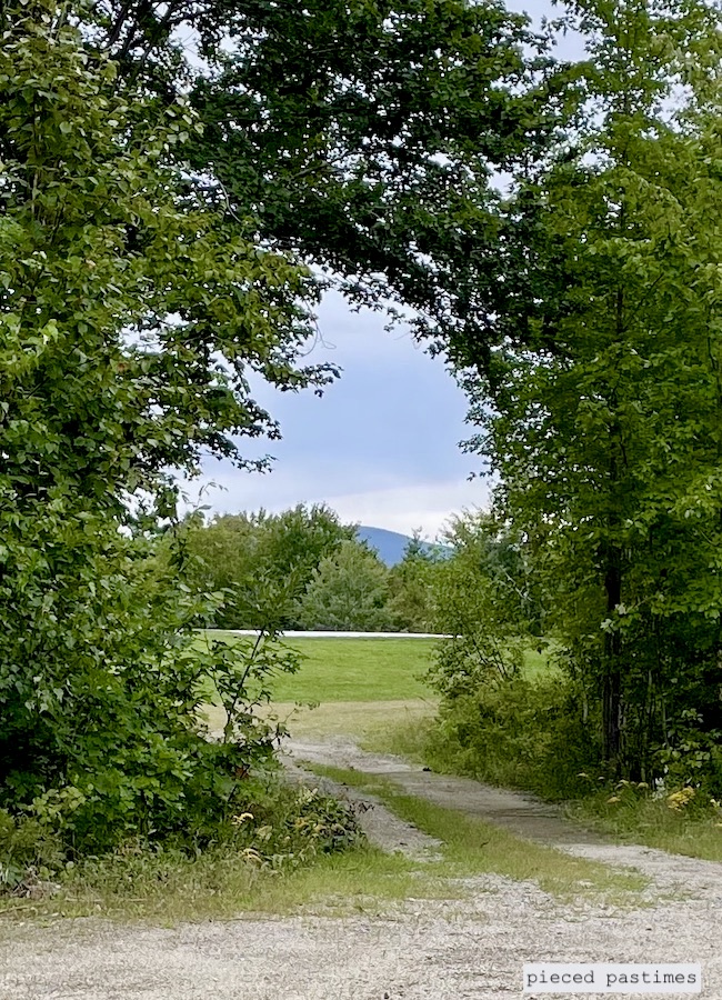 Natural Tree Arch at Pieced Pastimes