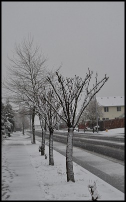 DSC_0030_01