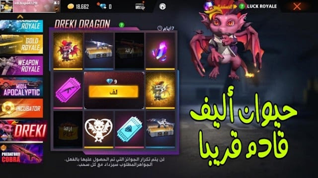 فري فاير - تسريبات حيوان أليف جديد قريبا في شرق الأوسط Dreki Dragon