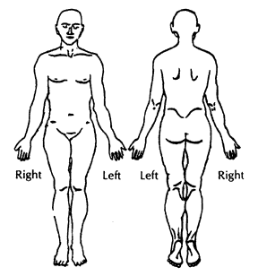 Body Chart for Pain Assessment