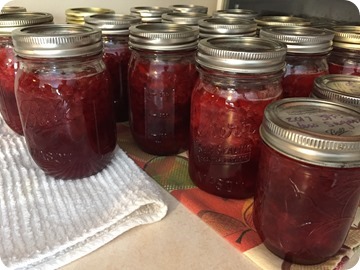 Strawberry Jam 2017