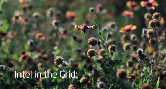 A Better Future: Visualizing Sustainable Energy
