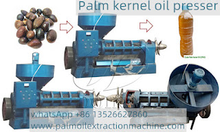 Professional palm kernel oil press machine