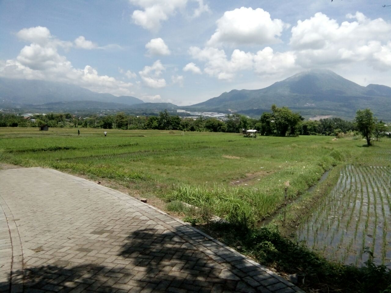 Jual Tanah Pandaan Pasuruan