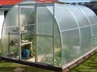 Cara Membuat Green House Yang Murah dan Sederhana