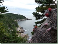 MiddleHead