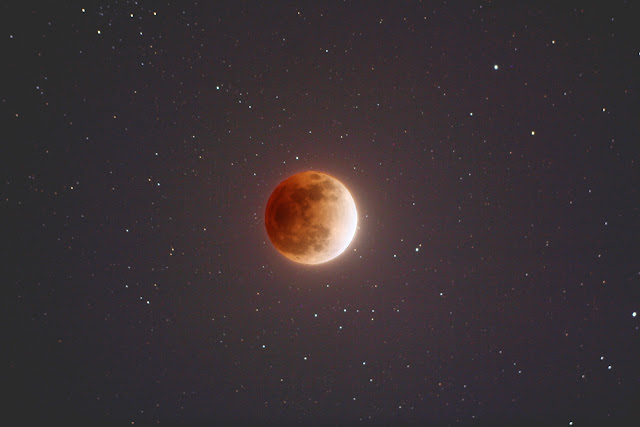 Mặt Trăng chuyển thành màu đỏ cam trên bầu trời khi Nguyệt thực toàn phần diễn ra. Hình ảnh: Alphonse Sterling.