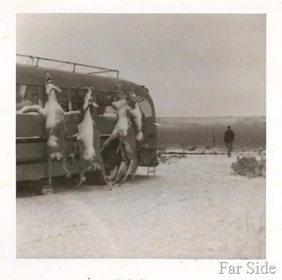 Hunting Bus Three