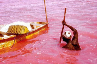 Foto, Laut Unik Berwarna Merah Jambu [ www.BlogApaAja.com ]