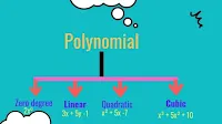 Different types of polynomials:-