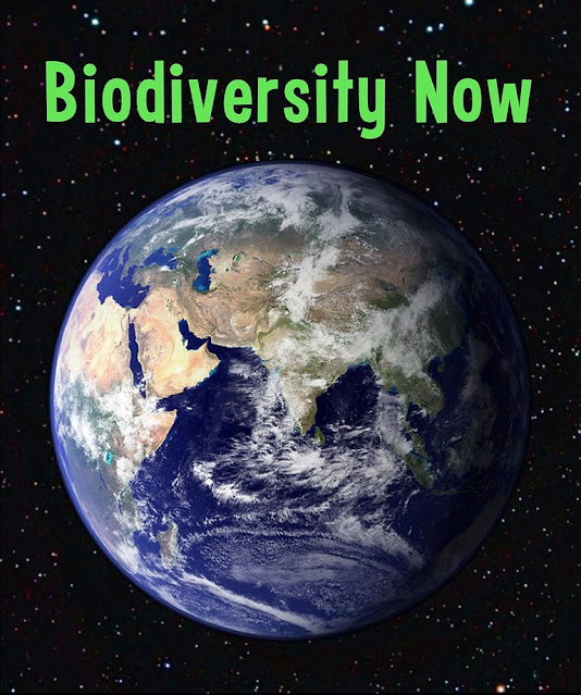 Image depicting the significance of biodiversity, with the title 'Biodiversity Now | Biodiversity is the variety of all living