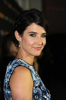 Cobie Smulders HQ photo