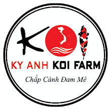 Ảnh của tôi