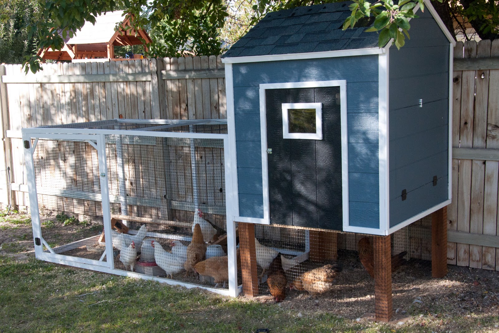 Our Chicken Coop - A story of chickens - Housewives of ...