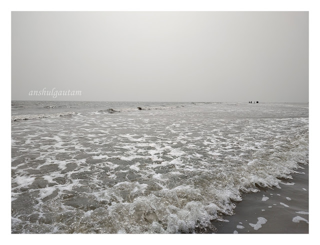 The Red Crab Clan - Mohona Beach West Bengal 5