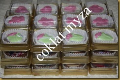 Coklat 30.3.2011 010