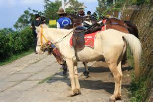 Umbul Sidomukti, Travel Malang Semarang, Travel Semarang Malang