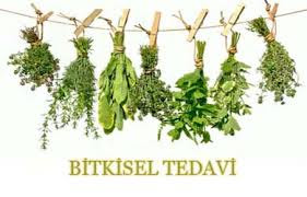 Basur bitkisel tedavi