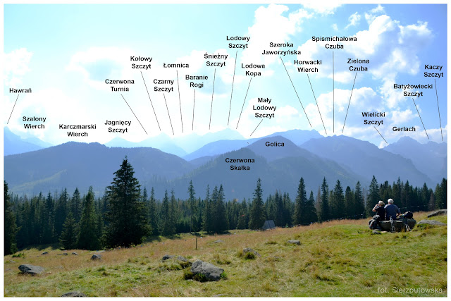 Opisana panorama z Rusinowej Polany